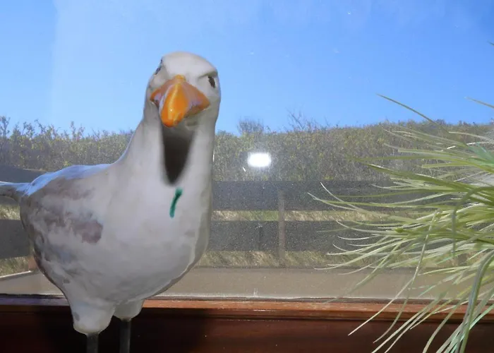 Appartamento Alice - Weigel *